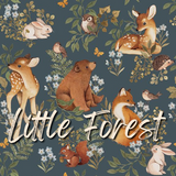 Little Forest from Dear Stella